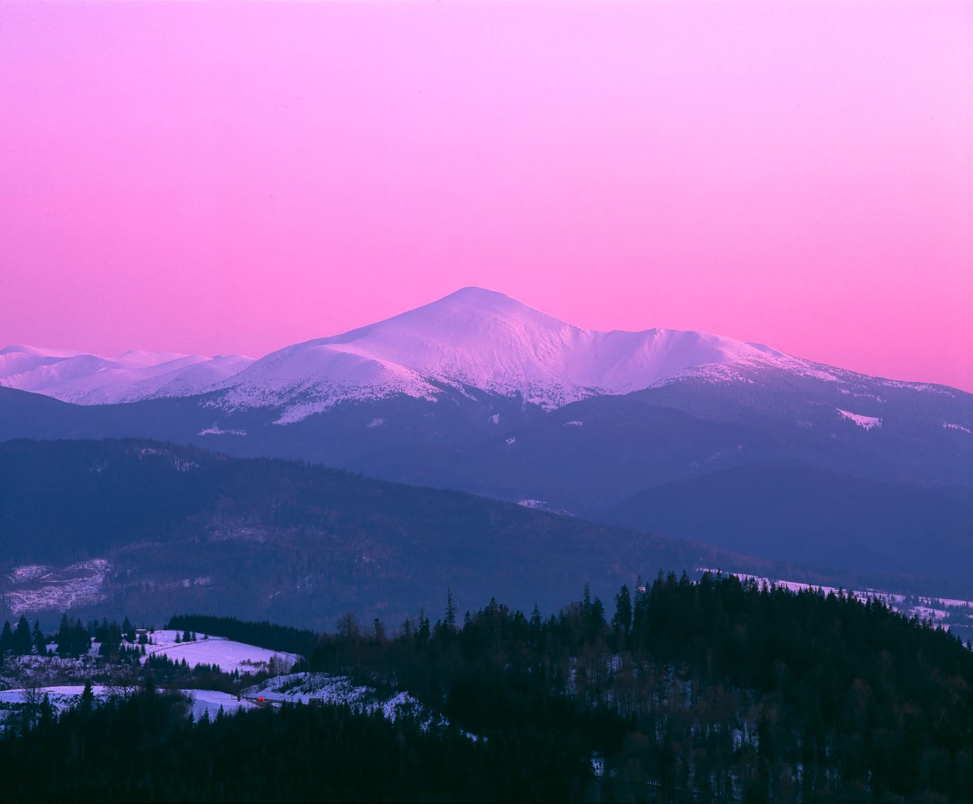 Snowy mountain peaks beneath a pink sky, with layered blue-violet wooded hills and dark foreground conifers.