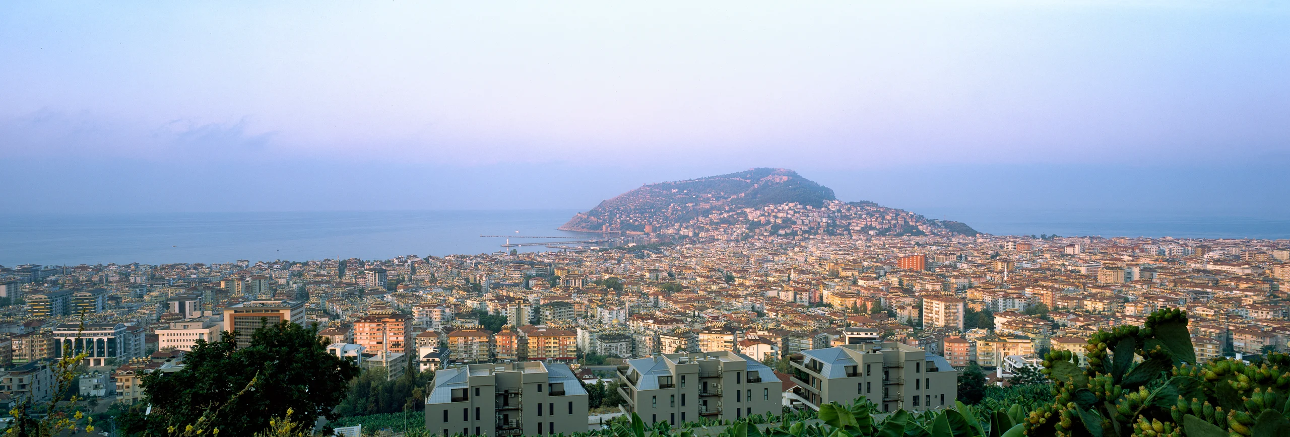 Panorama of Alanya beneath a pastel sky, with dense buildings, a softly lit headland, calm sea and dark foreground greenery.