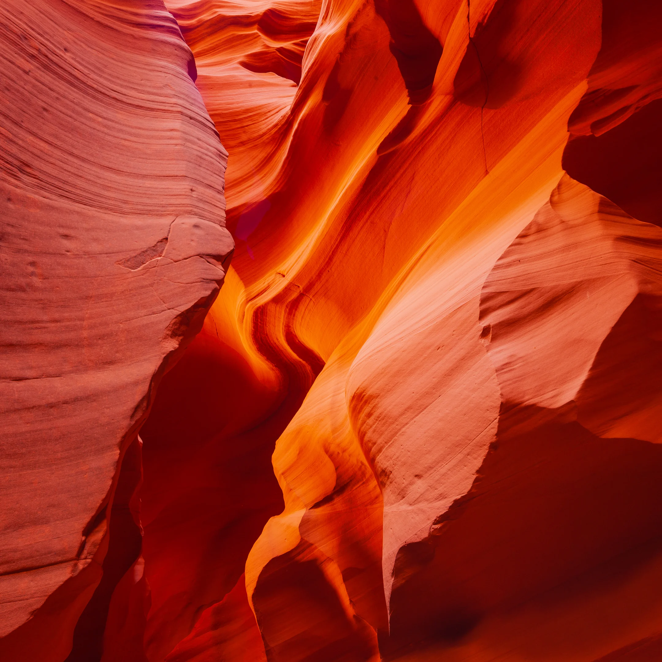 Square view of layered canyon rock, with sweeping orange curves, coral surfaces and deep crimson shadows.