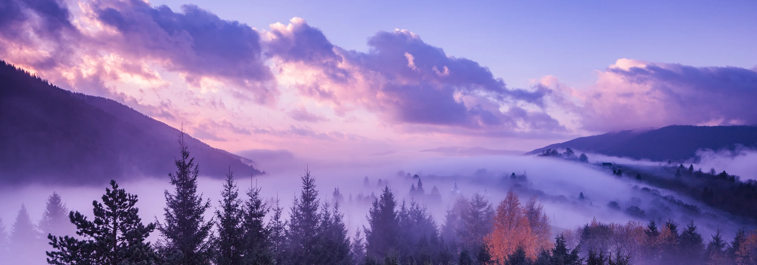 Dark conifers and copper-coloured trees rise through valley mist beneath pink-lit violet clouds in the Ukrainian Carpathians.