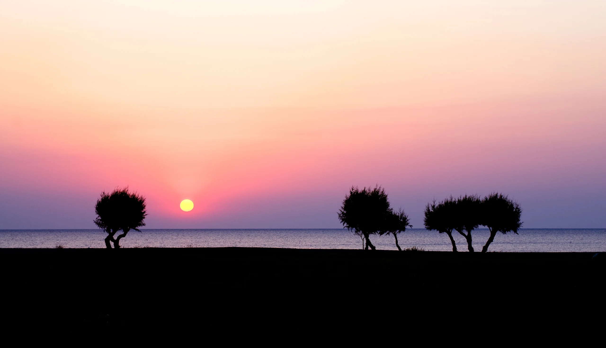 Dark coastal trees beside a calm sea, with a low sun in a peach, pink and lavender sky.