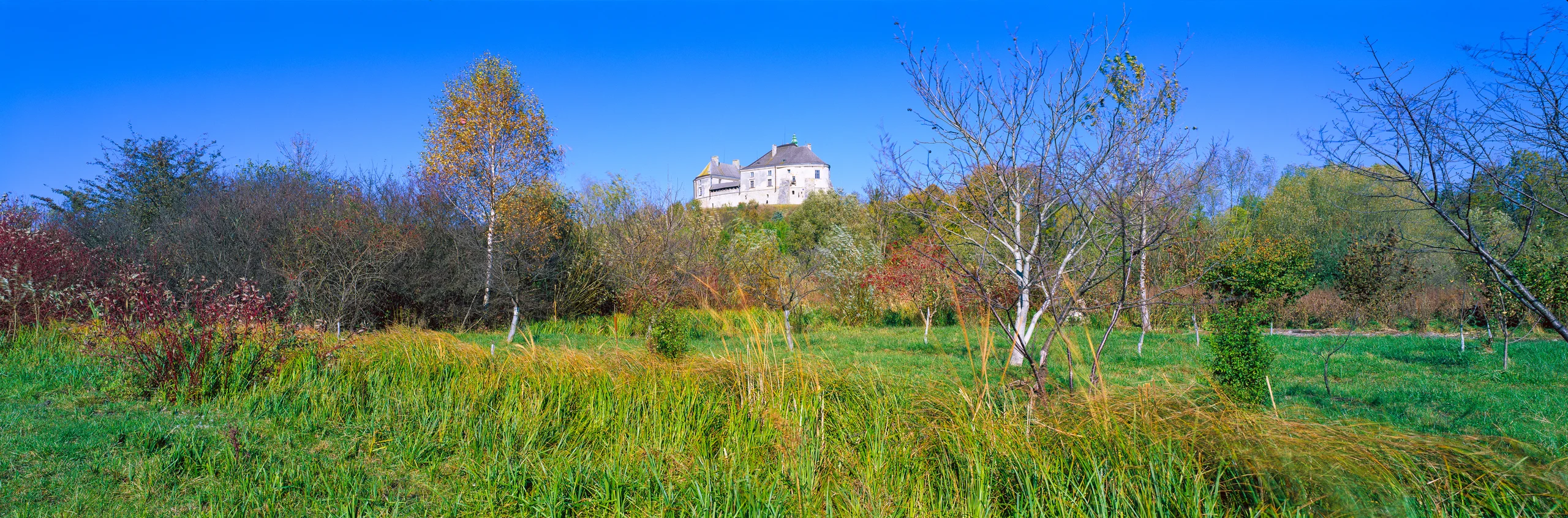 A pale castle on a hill above an autumn meadow with golden grasses, slender trees and red foliage under a blue sky.