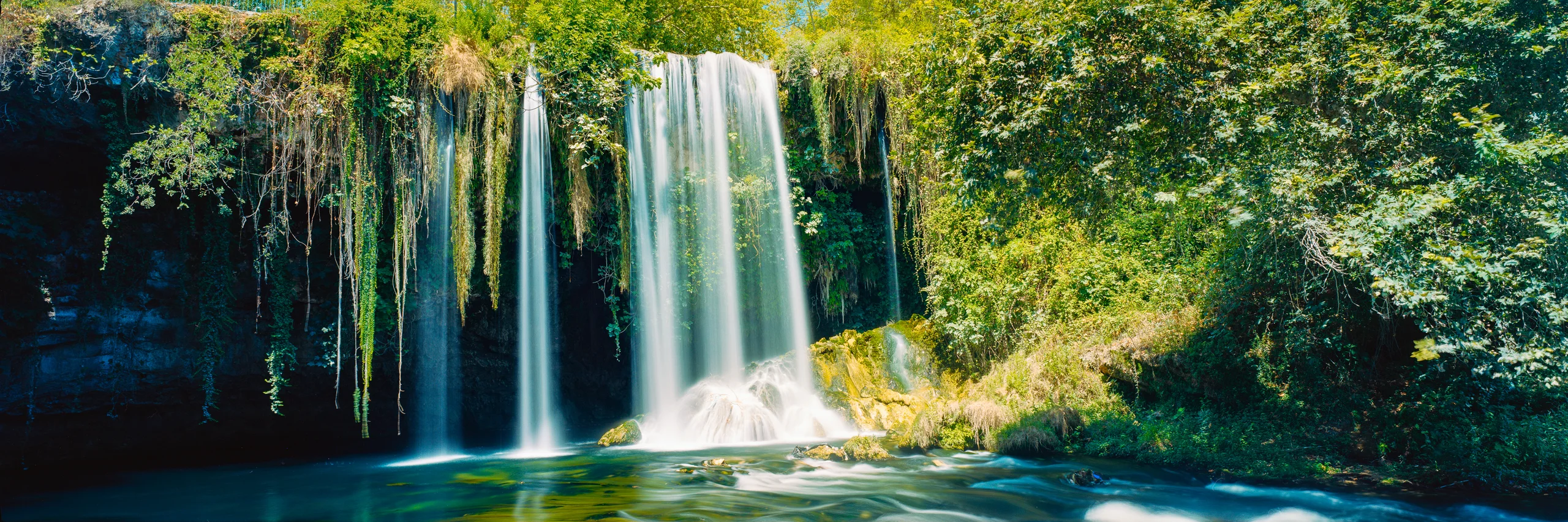 A broad waterfall flows over a dark rock ledge into a pool surrounded by dense green foliage, moss and hanging roots.