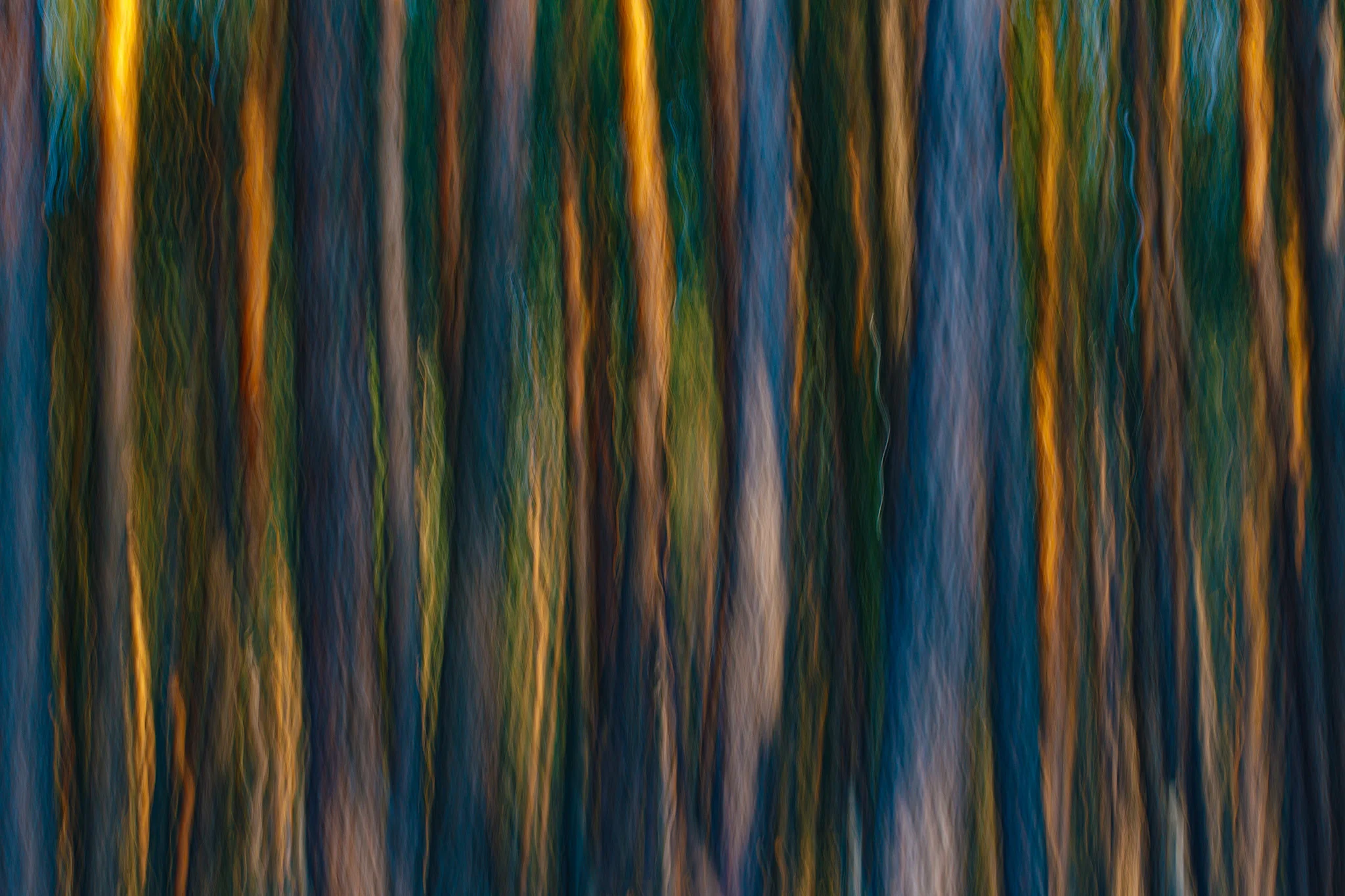 Abstract woodland with vertical trails of amber, blue and green.